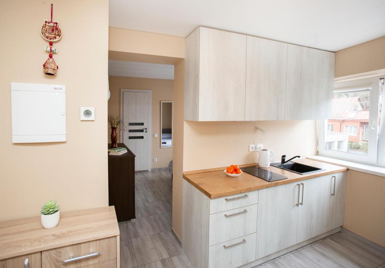 Chill&Go Apartment Каунас Екстер'єр фото